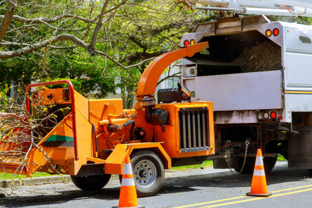 East Newark, NJ Tree Services Company